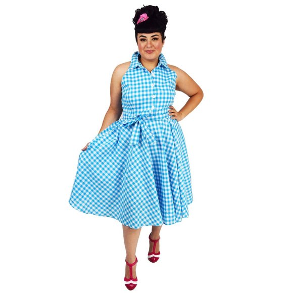 Glitz Glam and Rebellion Dresses & Skirts - NWT June Shirtdress in Blue Gingham